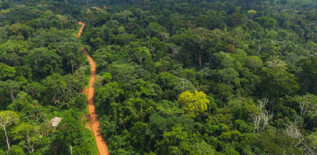 PROTECTING GHANA’S FORESTS: THE JOURNEY SO FAR