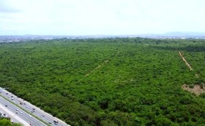 Read more about the article Rescind decision to cede portions of Achimota Forest Reserve Status- CSOs