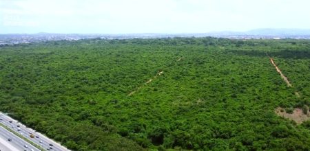 Rescind Decision To Cede Portions of Achimota Forest Reserve Status- CSOs