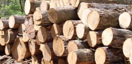 GHANA TO SOON IMPORT TIMBER